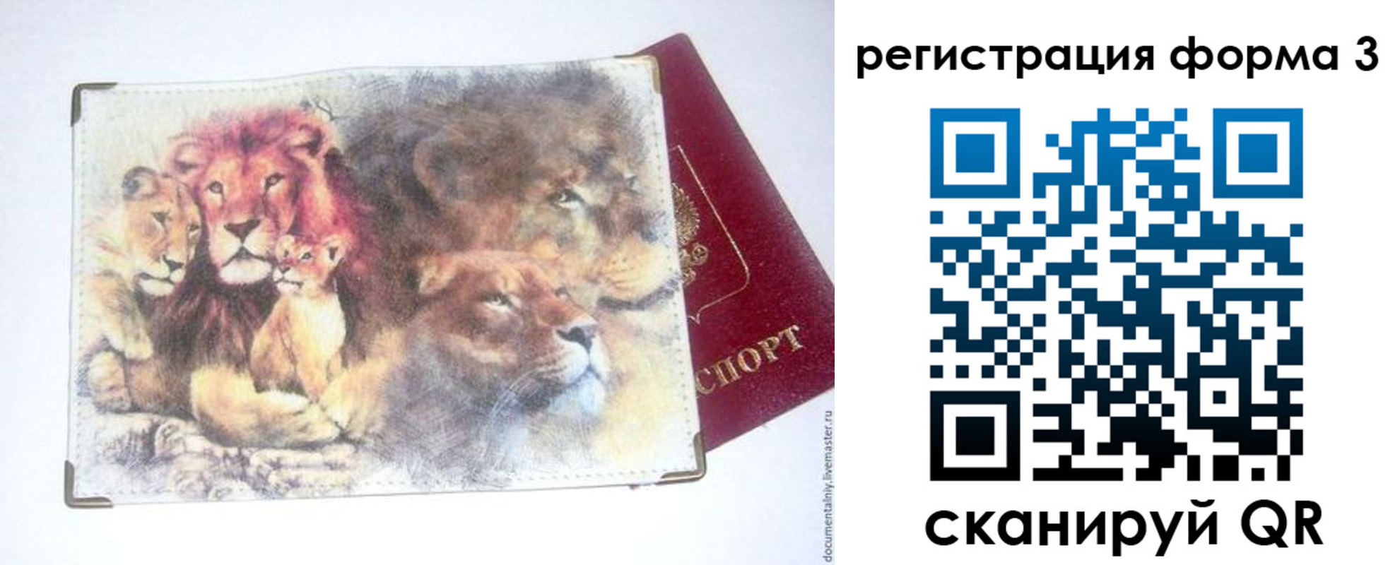 прописка в квартире в Вяземском